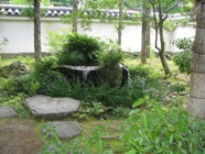 japon 2009 228,Himeji,jardin Koko-en.jpeg