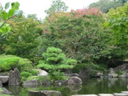 japon 2009 247,Himeji, jardin Koko-en.jpeg