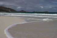 IMG_2835.jpeg