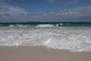 IMG_2838.jpeg