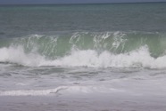 IMG_2848.jpeg